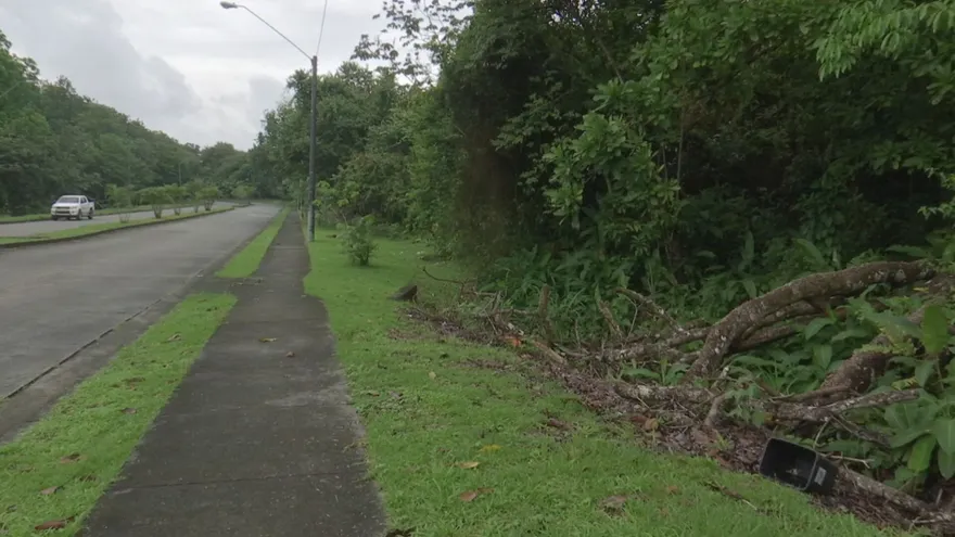 El hallazgo de un cuerpo masculino en avanzado estado de descomposición fue reportado la mañana del domingo 14 de diciembre en la barriada Monterregio, en la provincia de Panamá Oeste, específicamente dentro del distrito de Arraiján, según confirmaron las autoridades.