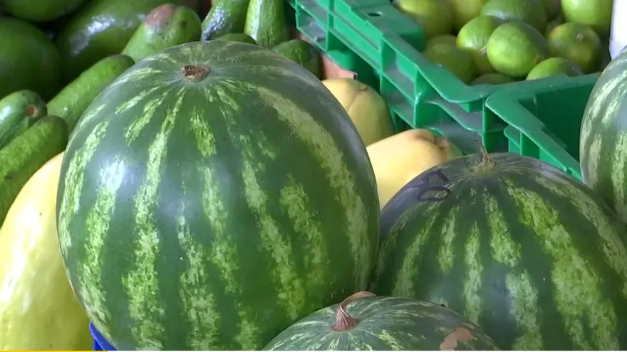 Conozca los 12 alimentos que contienen más agua.