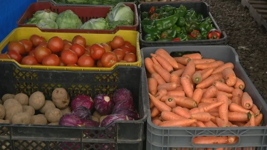 Bajan ventas agropecuarias en Santiago