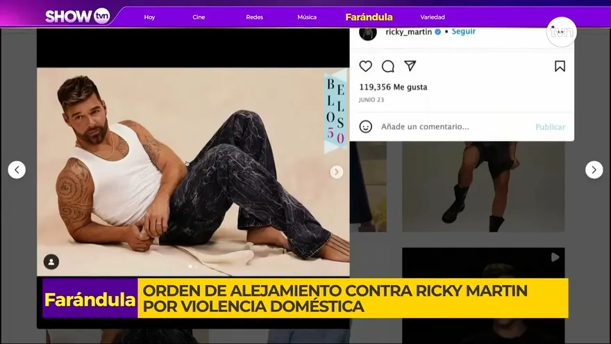Denuncian a Ricky Martín por violencia domestica