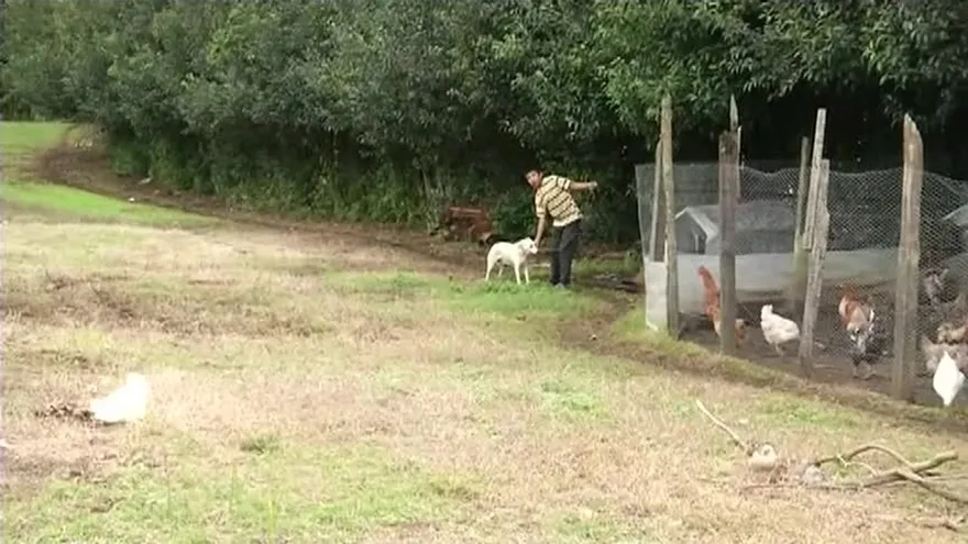 Se mantiene investigación por caso de bebé muerto en Chiriquí