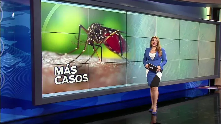 Noticiero Estelar 12 de septiembre de 2017 - Bloque 5