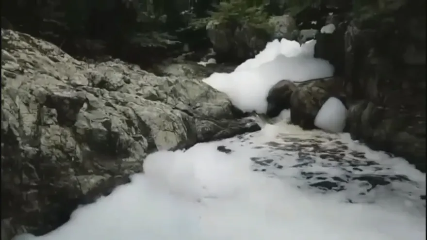 Autoridades realizarán nueva inspección tras aparición de espuma en río Blanco de Coclé