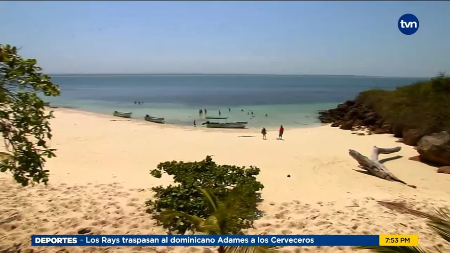 Mundo Verde: Arrecifes de coral