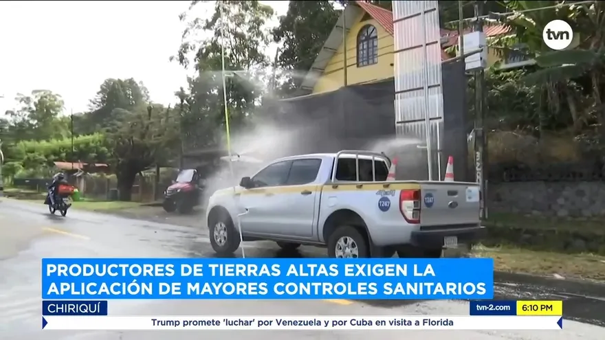 Productores en Chiriquí exigen al Minsa mayores controles sanitarios