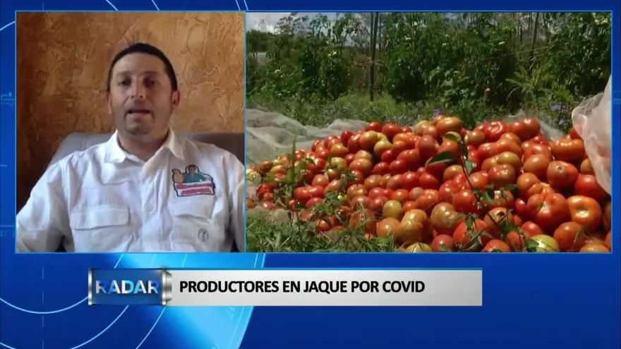 Bloque 4: Afectaciones a los productores por crisis con COVID-19