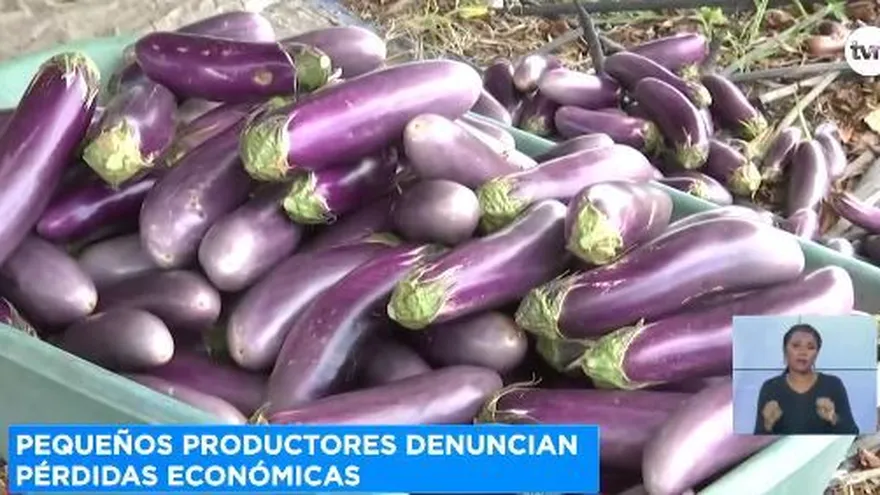 Productores de Alanje denuncian falta de venta de productos