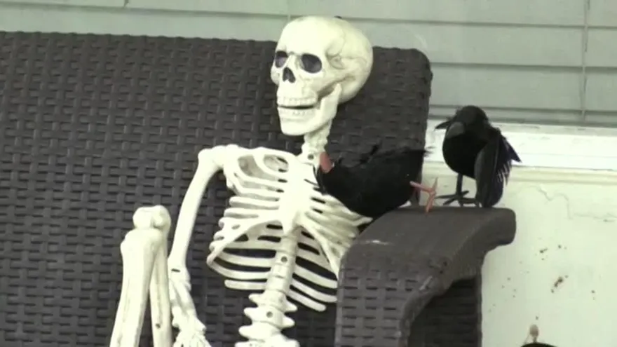 Coral Gables se contagia del ambiente fantasmagórico de Halloween