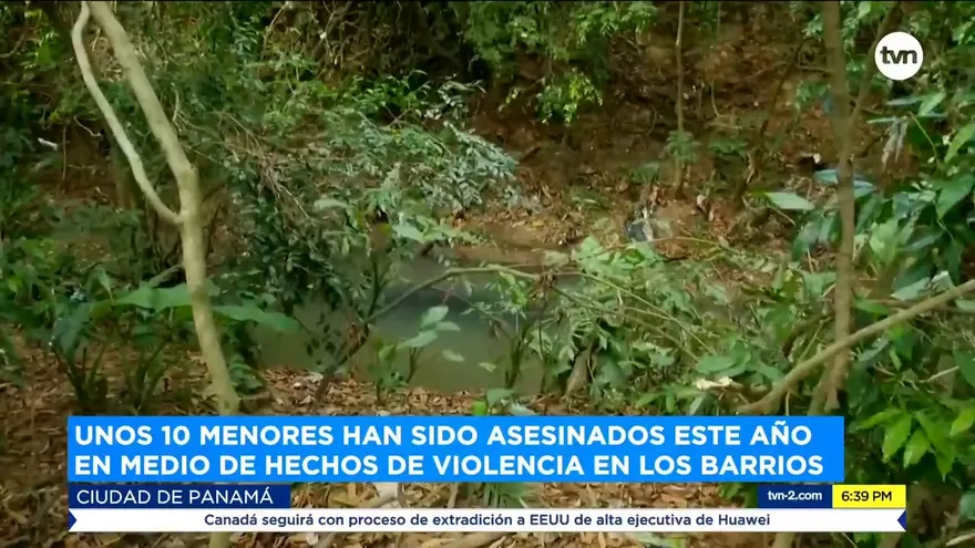 Unos 10 menores han sido asesinados este año en medio de hechos de violencia en los barrios