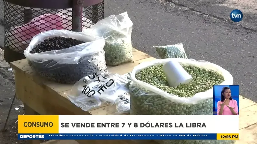 Incrementa costo de guandú en Chiriquí