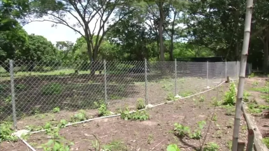 Supuesto terreno que pertenecía a Noriega genera polémica
