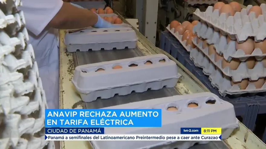 Alza de la tarifa eléctrica podría afectar precios del pollo y otros productos