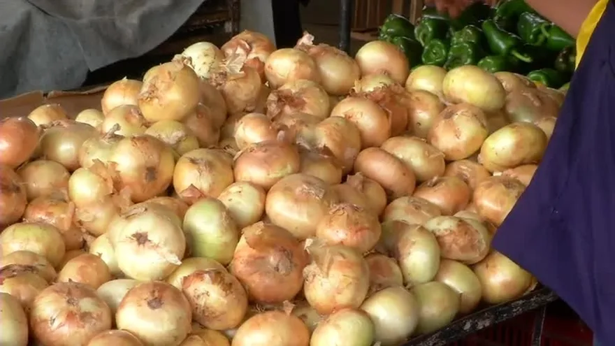 Productores podrían pagar las consecuencias de bajar el precio de la cebolla