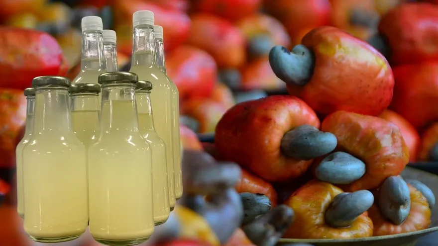 Bebida destilada creada por el MIDA