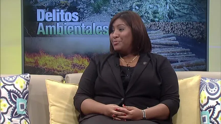 Analizan evolución de los delitos ambientales