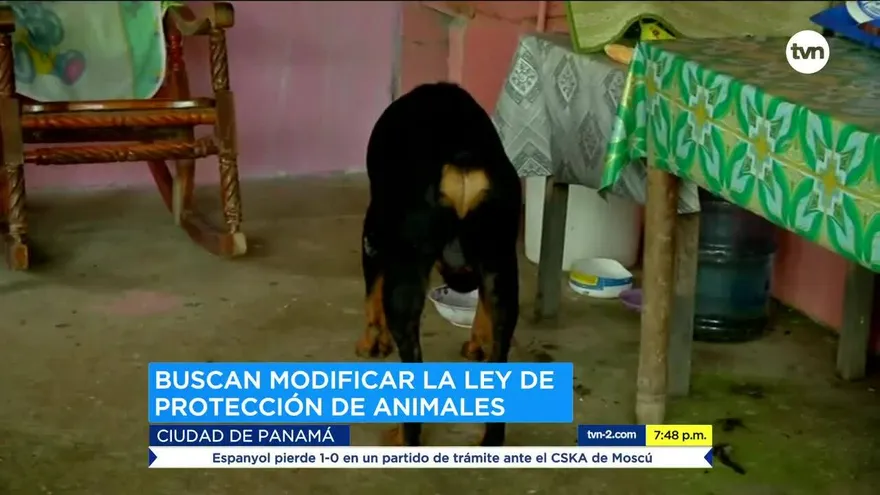 Prohijan proyecto que modifica ley sobre el maltrato animal