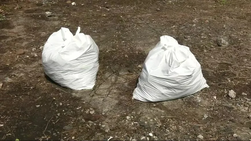 Realizan limpieza en corregimiento de Calidonia