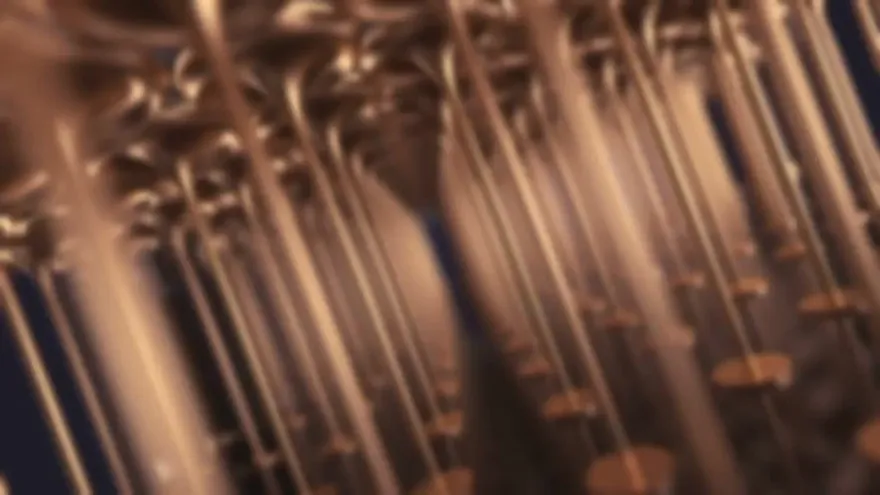 Suelta El Wichi - 21/ABR/2018