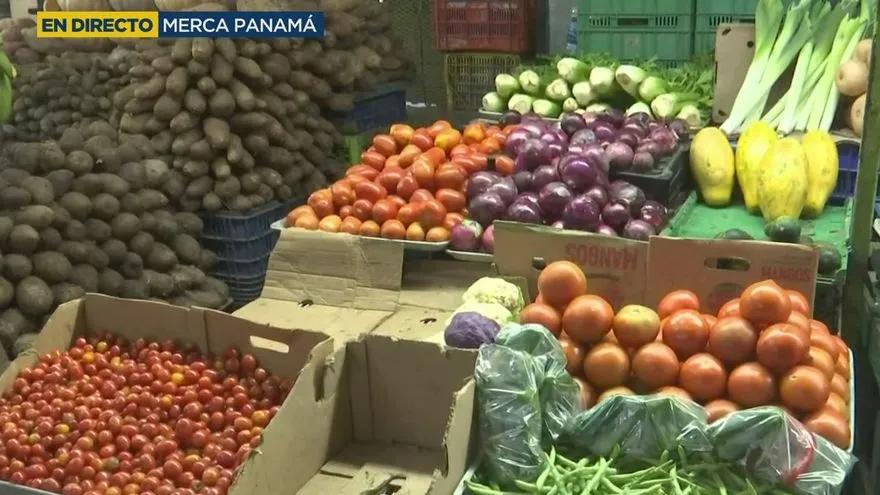 Frutas y vegetales en Merca Panamá reflejan leves variaciones de precio tras las lluvias en provincias productoras del interior.