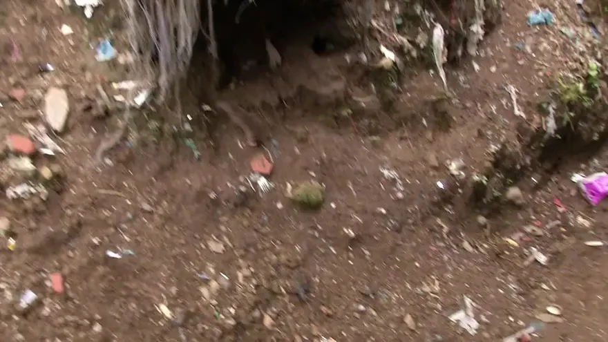 Proliferación de ratas en San Miguelito