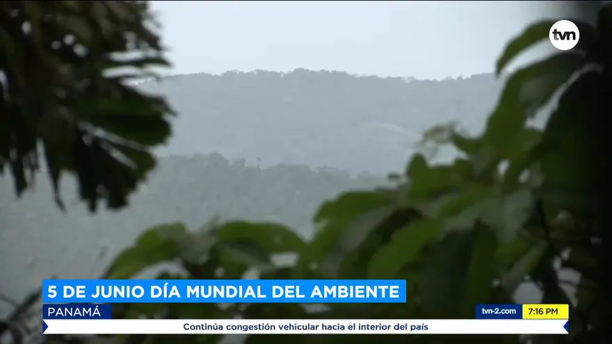 5 de junio es el día mundial del ambiente
