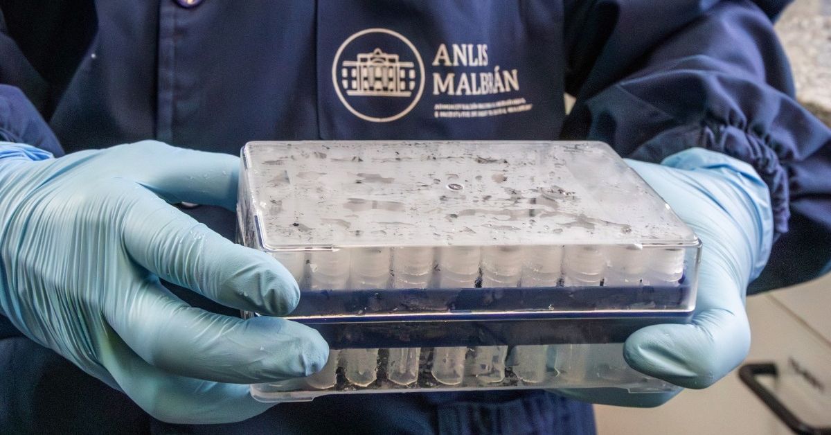 Seis casos confirmados de hantavirus tras brote en crucero, según la OMS