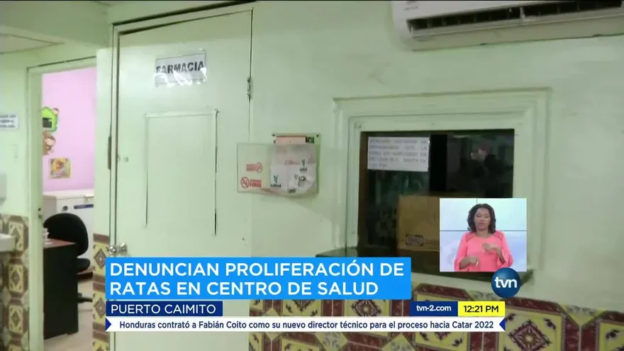 Centro de Salud de Puerto Caimito está infestado de ratas y alimañas