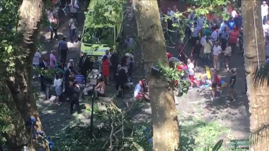 Caída de árbol provoca 12 muertos en Portugal