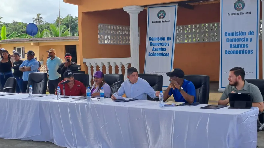 Diputados de la Comisión de Comercio de la Asamblea Nacional.