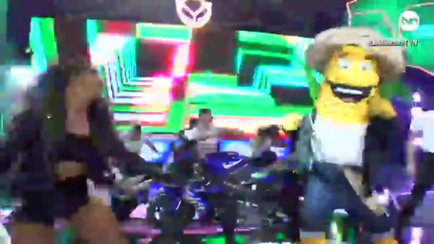 Maíz presentación quinta gala