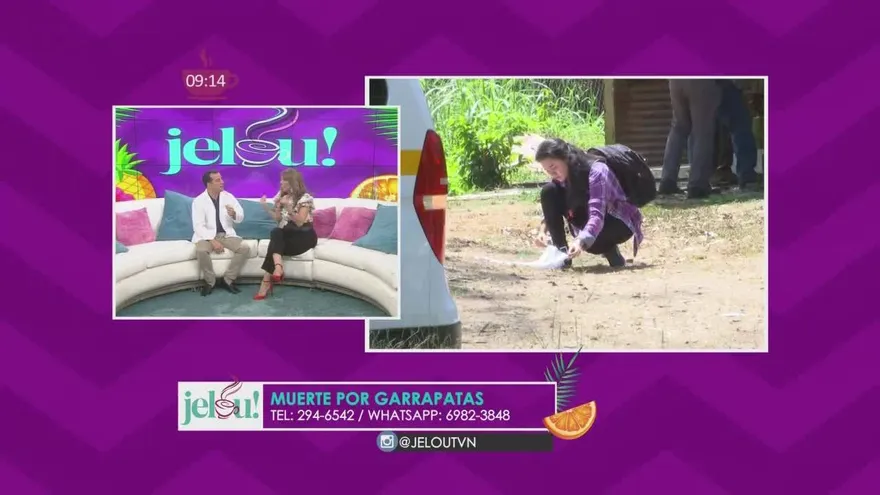 Garrapatas mortales: qué es la rickettsiosis y cómo se evita