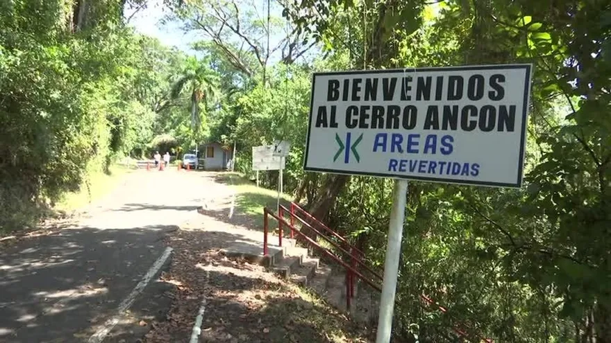 Revisarán árboles en el Cerro Ancón