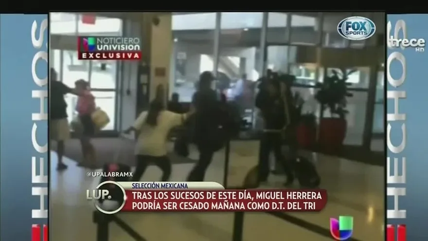 Rumores de 'sustitución' de técnico del tri Herrera por agredir a periodista