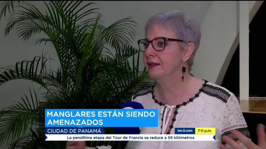 Celebran Día Internacional de los Manglares