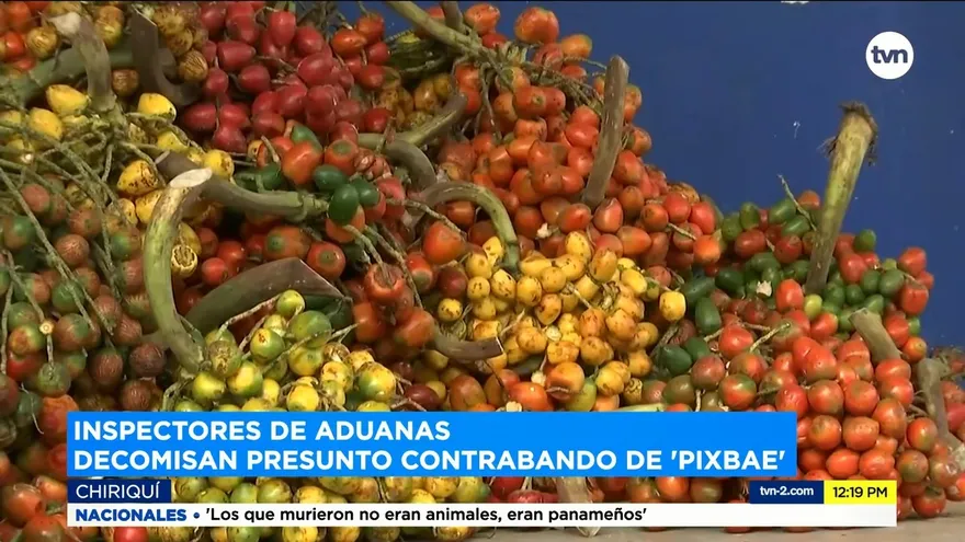 Decomisan pixbae de supuesto contrabando en Chiriquí