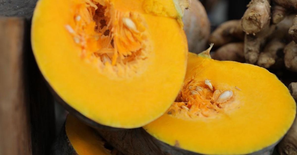 Productores agrícolas: El zapallo, mucho más que una simple verdura