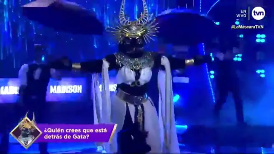 Gata presentación cuarta gala