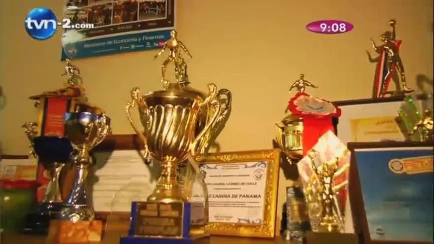 Unidad Canina De La Policía