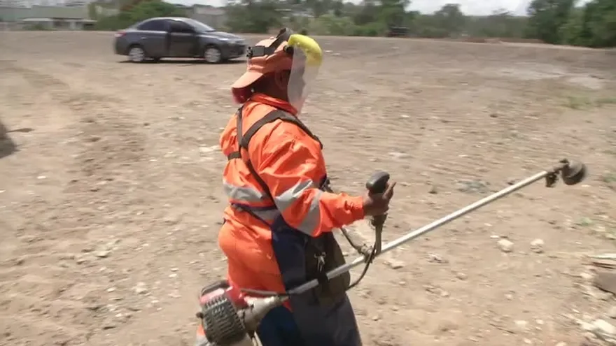 Historias de mujeres luchadoras en su día