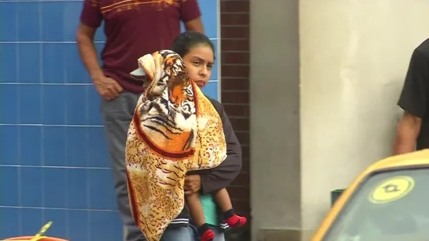 Casos de toxoplasmosis en Panamá