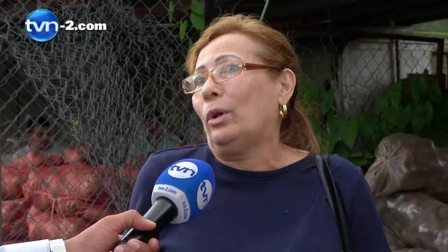 Altos costos de producción podría generar escasez de ñame