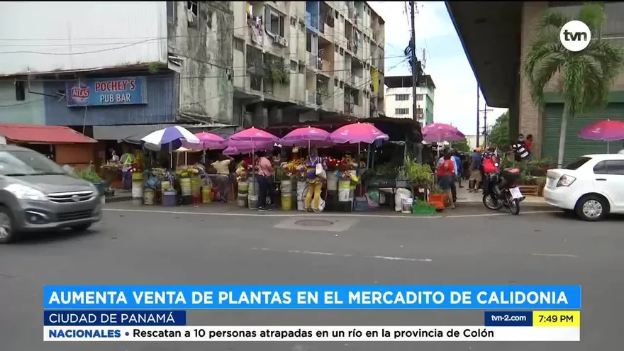 Las esencias y hierbas en el Mercadito de Calidonia