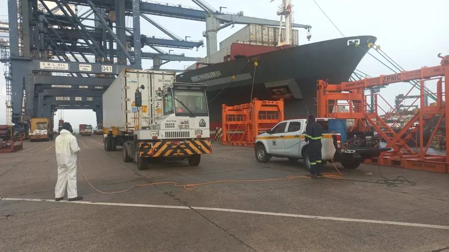 Funcionarios del Dirección Ejecutiva de Cuarentena Agropecuaria del Ministerio de Desarrollo Agropecuario (MIDA) en puertos de Colón durante el mes de agosto.