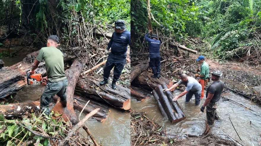 Restauran acceso al sendero del Oleoducto en Parque Soberanía tras colapso de puente por lluvias.