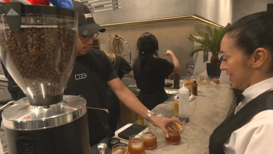Panamá Coffee Week reunirá más de 35 variedades del mejor café del mundo en octubre