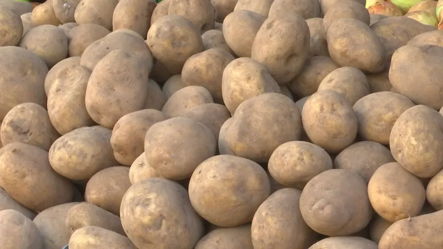 Producción de papas