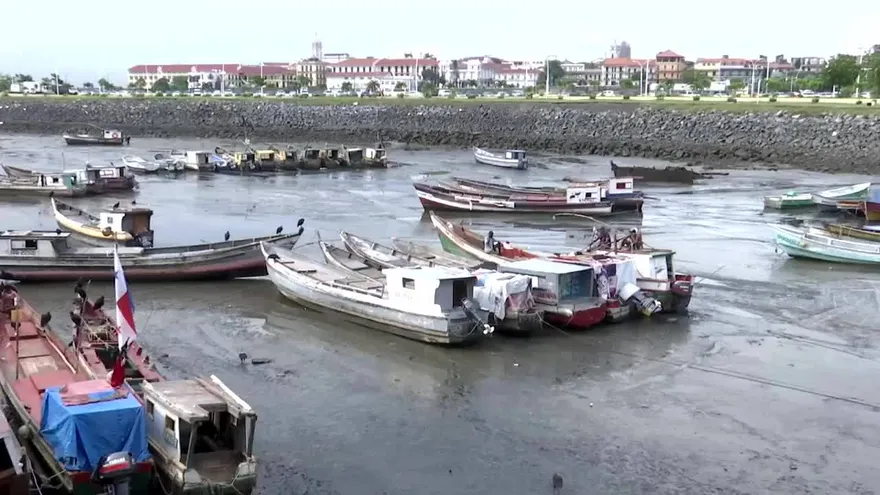 Industria pesquera está en crisis