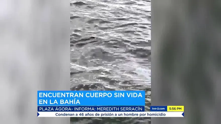 Cadáver flotando en la bahía
