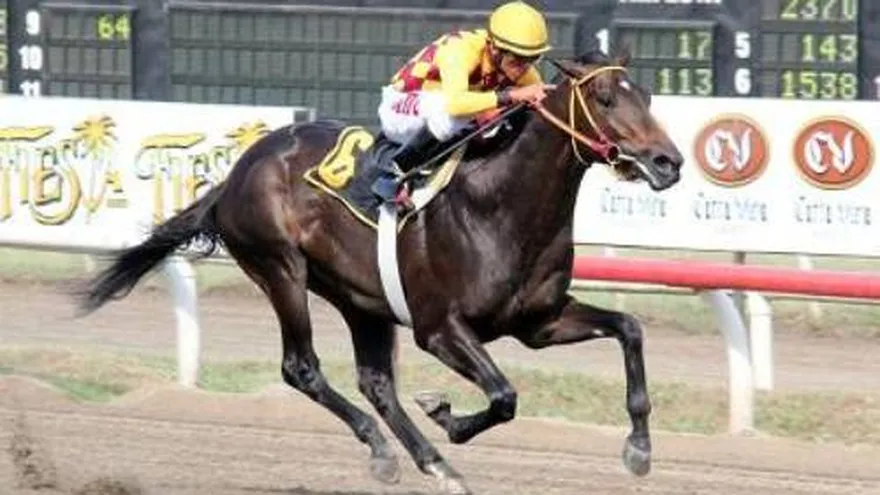 "Viramundo" se fue derecho a la meta en clásico aduanero