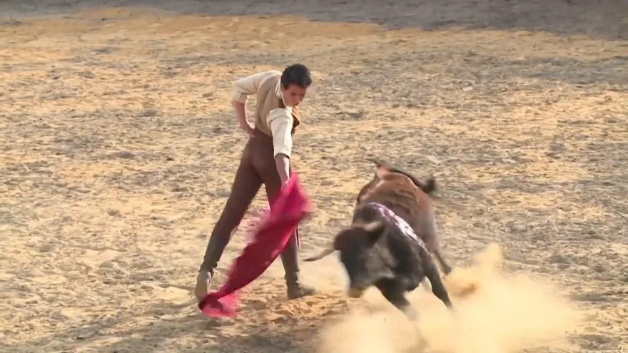 Bogotá prohíbe maltrato o muerte del toro en corridas